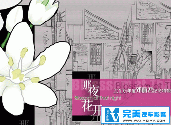 无损音乐 中文曲[VIP专区]-邓丽君关门弟子 戴妮-那夜花开 UPDTS WAV分轨(1)