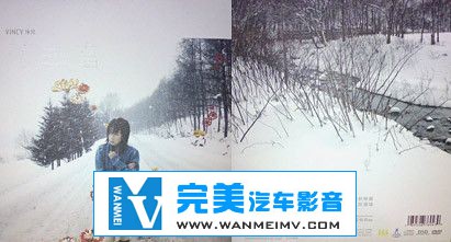 无损音乐 中文曲[VIP专区]-泳儿《花无雪》APE/整轨/百度网盘(1)