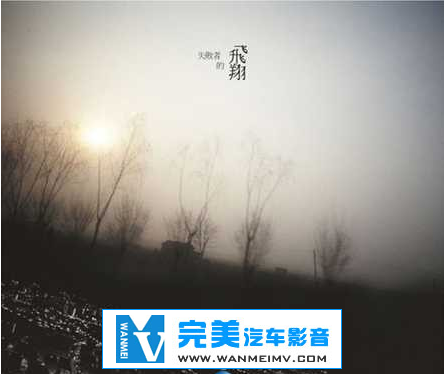 无损音乐 中文曲[VIP专区]-陈绮贞《失败者的飞翔》EP FLAC/整轨/百度网盘(1)