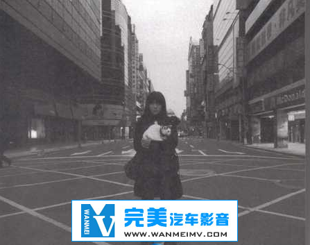 无损音乐 中文曲[VIP专区]-陈绮贞《pussy》FLAC/整轨/百度网盘(1)