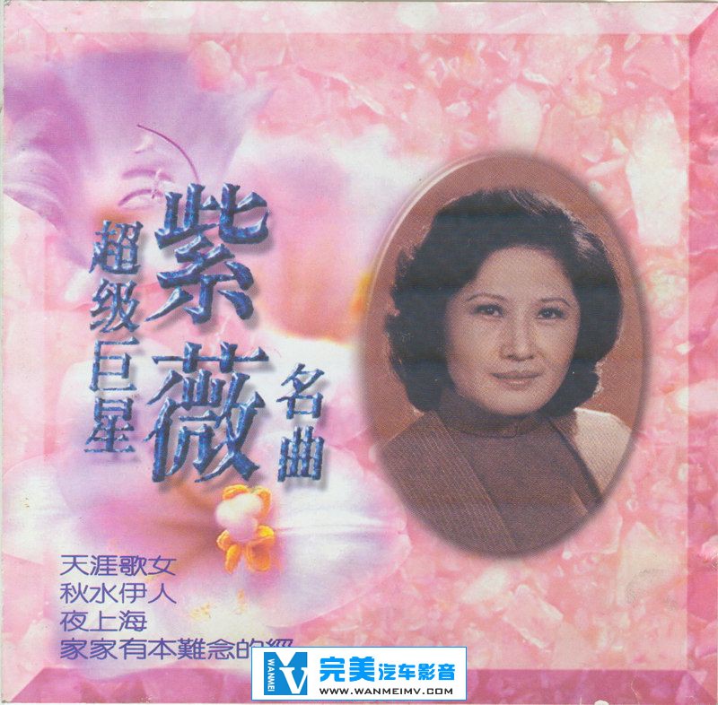 无损音乐 中文曲[VIP专区]-紫薇《超级巨星紫薇名曲》WAV/整轨/百度网盘(1)