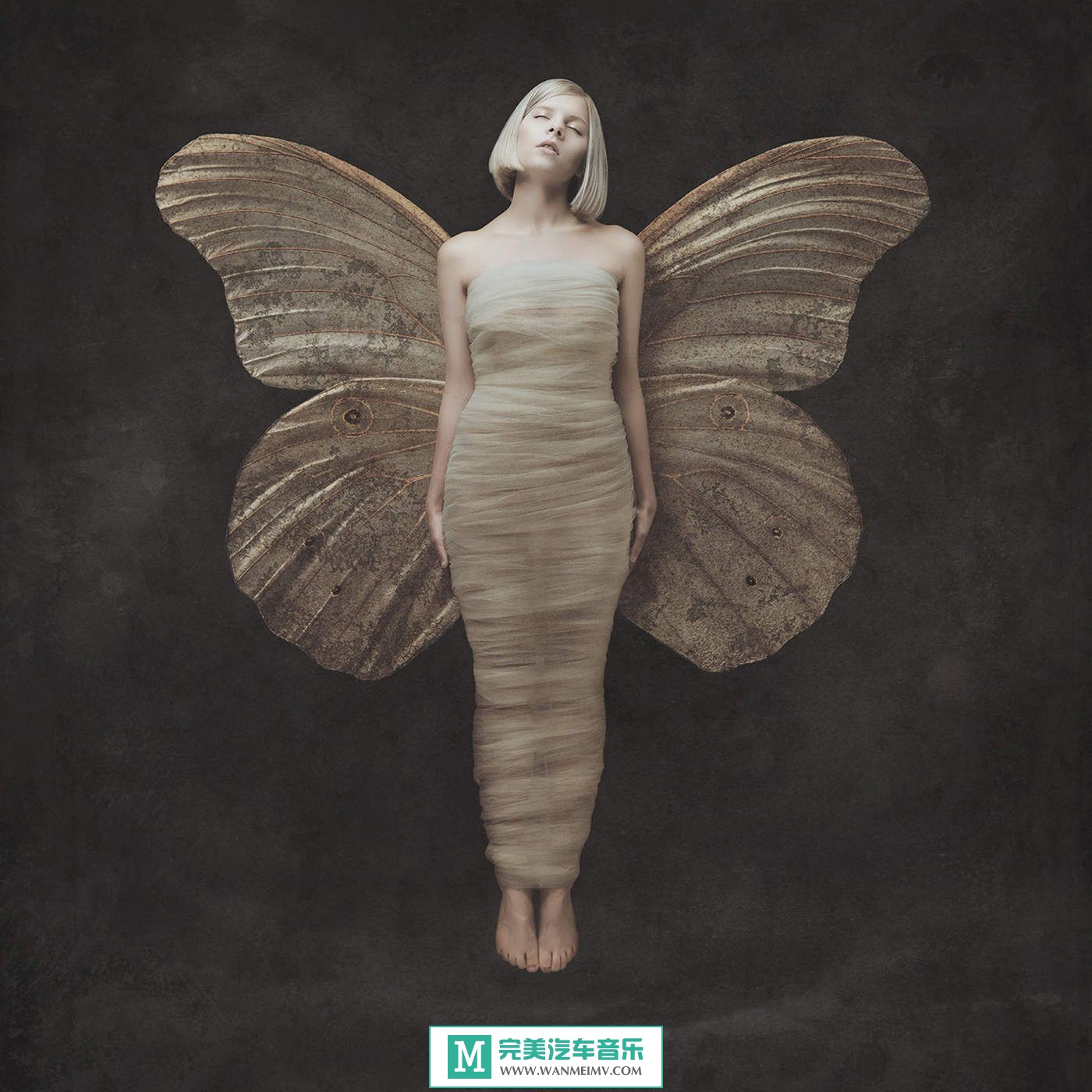无损音乐 英文曲-AURORA(Aksnes)《All My Demons Greeting Me As A Friend》2016豪华版/FLAC/BD(1)