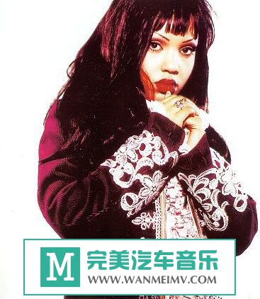 无损音乐 英文曲-挪威流行Stella Getz《11CD》flac/百度(1)