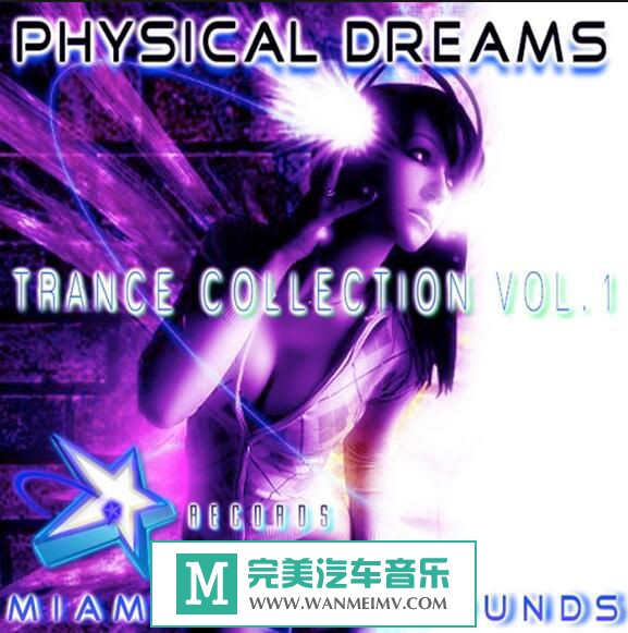 无损音乐 英文曲-电子舞曲：Physical Dreams《13CD》flac/百度(1)