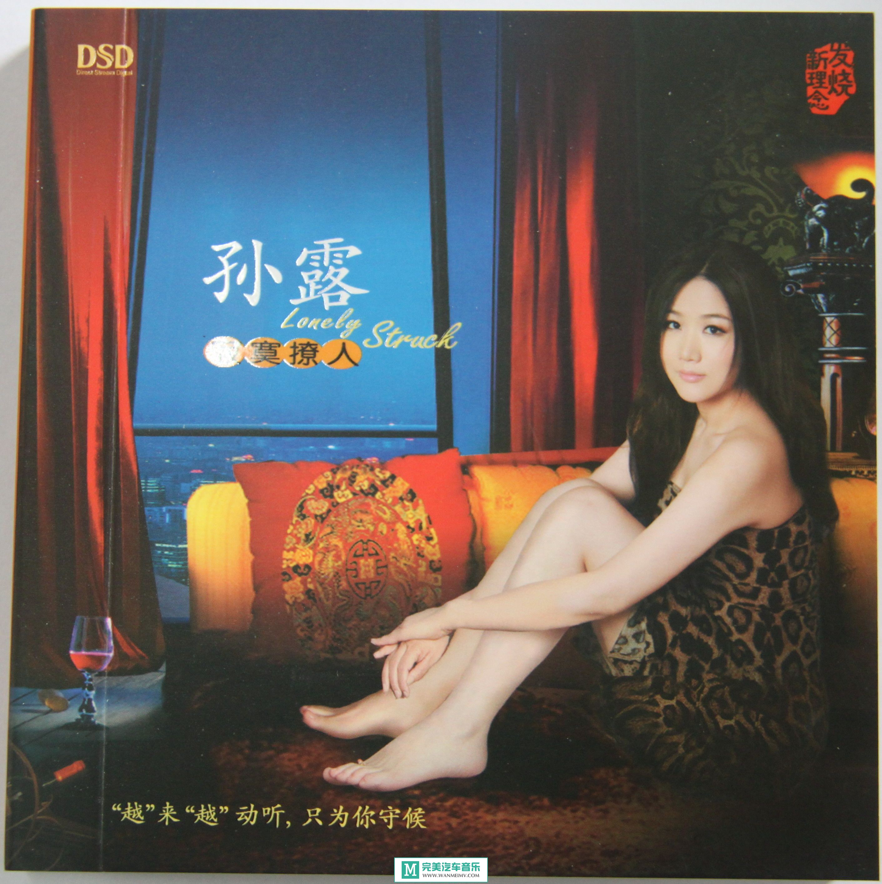 试音无损专辑下载-孙露全集之十《寂寞撩人》WAV/整轨/百度云(1)