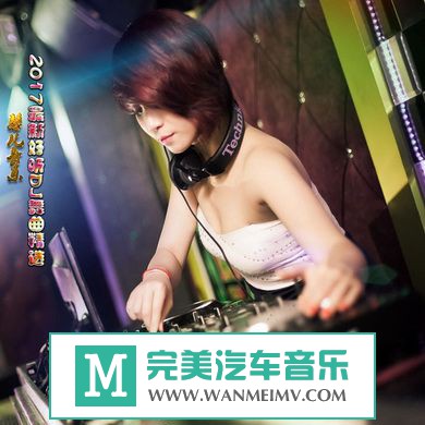 无损音乐 DJ舞曲-群星《2017最新好听DJ舞曲精选115》[2017/WAV分轨/百度](1)